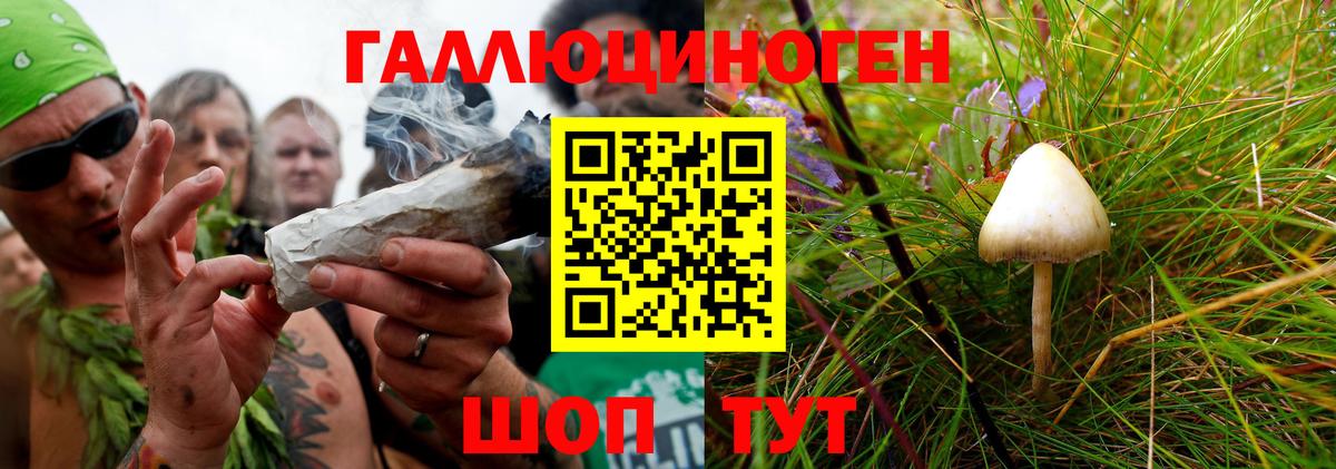 Псилоцибиновые грибы мицелий  Вход с VPN  где купить   Псилоцибиновые грибы Magic Shrooms  Новоалександровск 